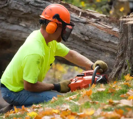 tree services Caroleen